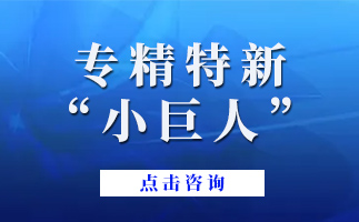 ?廣東省專精特新中小企業政策